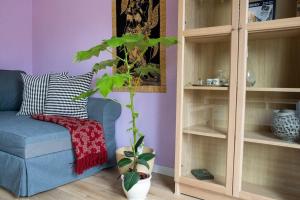 a living room with a blue couch and a plant at farbenfrohe Ferienwohnung in Detmold
