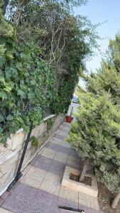 a walkway with trees and bushes next to a wall at شقه مفروشه مع حديقه اربد بجانب مدارس دار العلوم in Irbid