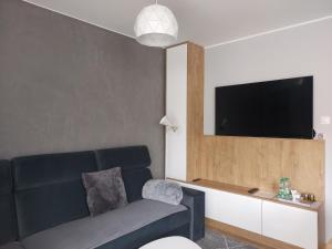 een woonkamer met een bank en een flatscreen-tv bij Apartament Śnieżka in Karpacz