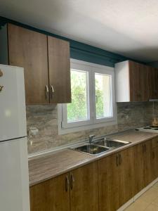 Kuchyň nebo kuchyňský kout v ubytování Filemial House