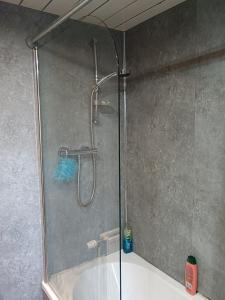 a shower with a glass door in a bathroom at Glasgow Millroad Private Room in Glasgow