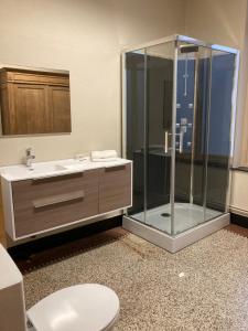 ein Bad mit einer Dusche, einem WC und einem Waschbecken in der Unterkunft Gîte d'Avalon Appartement 5 in Dinant