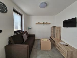 TV a/nebo společenská místnost v ubytování Restaurace - Apartmány Bobule