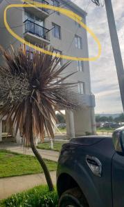 a car parked next to a palm tree in front of a building at Dichato Borde Bahía Azul in Tomé