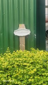 A garden outside glamping in Dromineer