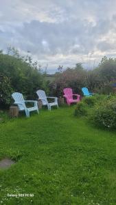 A garden outside glamping in Dromineer