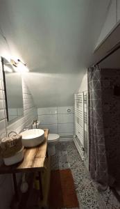 bagno con lavandino e servizi igienici di Villa Buena a Despotovac