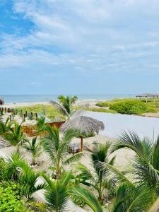 普拉亞斯的住宿－Un Dia Boutique Resort，棕榈树海滩的空中景致