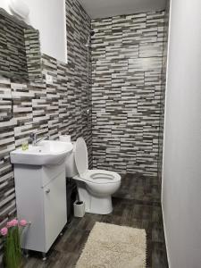 a bathroom with a white toilet and a sink at Pensiunea La Voicut in Sohodol +78 photos