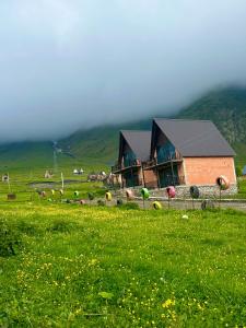 Природа в окрестностях шале