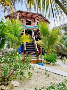 uma casa na praia com palmeiras em frente em Un Dia Boutique Resort em Playas