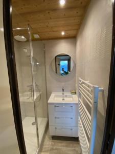 a bathroom with a shower and a sink and a mirror at Combe Blanche 1217 in Manigod