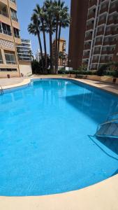 Una gran piscina azul con palmeras y edificios. en Brisas de Levante, en Benidorm