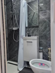 维也纳Royal Apartments的配有白色马桶和淋浴的浴室