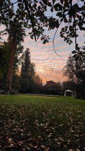 a field of grass with a gazebo and trees at Vista Luna Lodge con tinaja caliente in Lampa