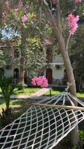Zahrada ubytování Olympos Yavuz Hotel