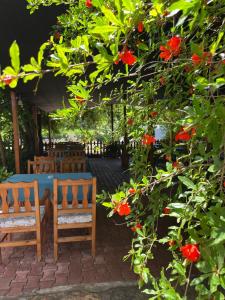 Zahrada ubytování Olympos Yavuz Hotel