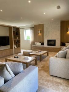 拉加爾德阿代馬的住宿－Mas provençal d'exception，客厅设有两张沙发和一个壁炉