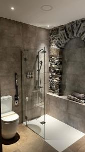 uma casa de banho com um chuveiro e um WC. em Izal Landetxea em Bergara