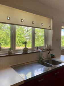 uma cozinha com um lavatório e duas janelas em Springhome Newport em Newport