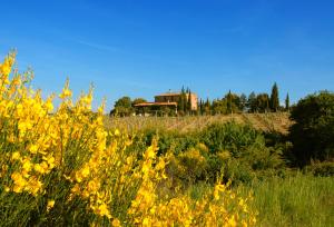 una casa en la cima de una colina con flores amarillas en Tenuta Santagnese, en Montepulciano