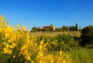 una casa in cima a una collina con fiori gialli di Tenuta Santagnese a Montepulciano