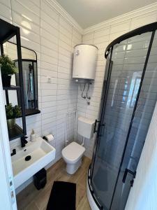 a bathroom with a toilet and a sink and a shower at Studio apartman Mia in Murter
