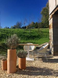 two chairs and a table with plants in a yard at Izal Landetxea - Izal Casa Rural in Bergara +28 photos