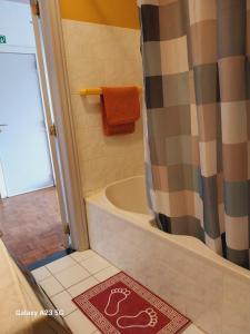 y baño con ducha y bañera. en Wonderful stay Monet en Gante