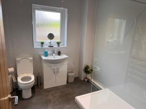 a bathroom with a toilet and a sink and a window at Woodlane lodge with private Hottub & Pool table in Dumfries +38 photos