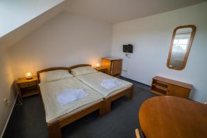 Postel nebo postele na pokoji v ubytování Hotel Elsyn Dvůr