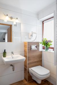a bathroom with a sink and a toilet at WILLA ANNA - 20 procent Termy Gorący Potok in Szaflary +42 photos