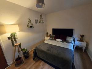 a bedroom with a large bed and a lamp at Prince's two in Dublin