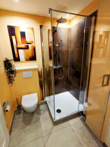 a shower stall in a bathroom with a toilet at fewo1846 - Promenade Wassersleben in Harrislee +4 photos