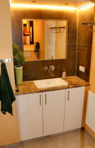 a bathroom with a sink and a mirror at fewo1846 - Promenade Wassersleben in Harrislee