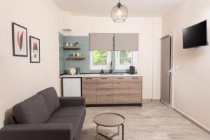 a living room with a couch and a kitchen at Olivia Apartment 2 in Pefkohori