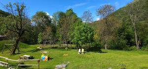 un groupe de personnes dans un champ planté d'arbres dans l'établissement Rifugio Fornas, à Tolmezzo