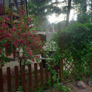 スコジェンチンにあるDomek pod świerkami 1のピンクの花と墓の木の柵