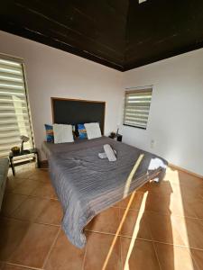 Voodi või voodid majutusasutuse Blue Eagle Guesthouse - Casa de hospedes toas