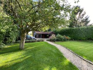 a tree in a yard with a house at St Catherines, Winterborne Lodge in Blandford Forum