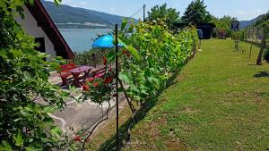 Fotografie z fotogalerie ubytování Apartman Đurić v destinaci Donji Milanovac + 13 fotografií