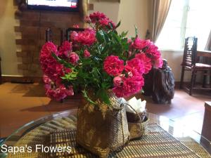 a vase filled with pink flowers on a table at Thai Binh Sapa Hotel in Sapa