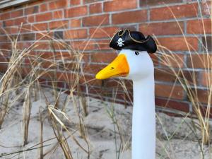 Φωτογραφία από το άλμπουμ του Dünenperle Wanderdüne σε Wittdun +30 φωτογραφίες