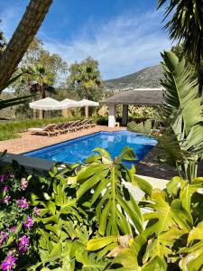 una piscina in un resort con sedie e fiori di Finca Mis Alas a Mijas