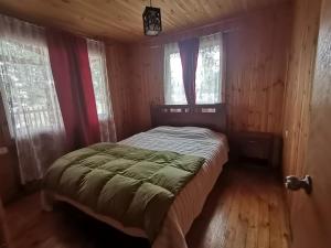 - une chambre avec un lit dans une pièce dotée de fenêtres dans l'établissement Cabañas EcoSur - Chile, à Curacautín
