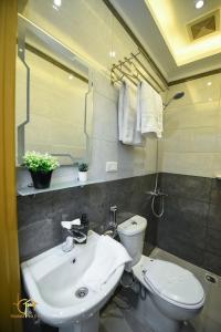 y baño con lavabo, aseo y espejo. en tourist hotels cairo downtown, en El Cairo