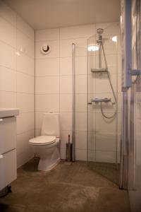 BjørkheimにあるFjellhagenのバスルーム(トイレ、ガラス張りのシャワー付)