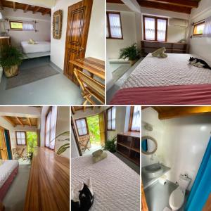 Un collage de fotos de una casita con un gato dentro. en Hermanos Perdidos Surf, en Las Tunas