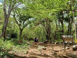 two people riding horses on a trail in the woods at Finca Magdalena Eco Lodge in Balgue