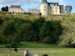 un grupo de caballos en un campo frente a un castillo en Gîte Sainte-Suzanne-et-Chammes, 3 pièces, 4 personnes - FR-1-600-192, en Sainte-Suzanne